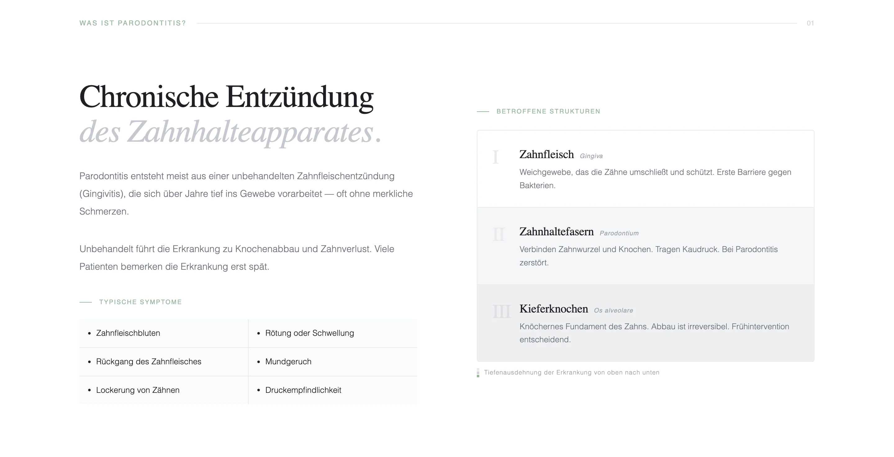 Patient trust section with calm editorial presentation